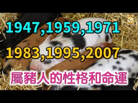 屬豬坐向|【屬豬坐向】揭秘！屬豬最佳住房坐向，旺運又聚財！